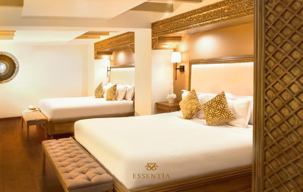 The Essentia Hotel San Miguel San Miguel de Allende Bagian luar foto