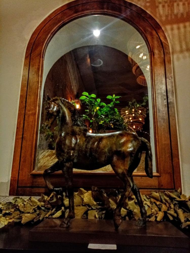 The Essentia Hotel San Miguel San Miguel de Allende Bagian luar foto
