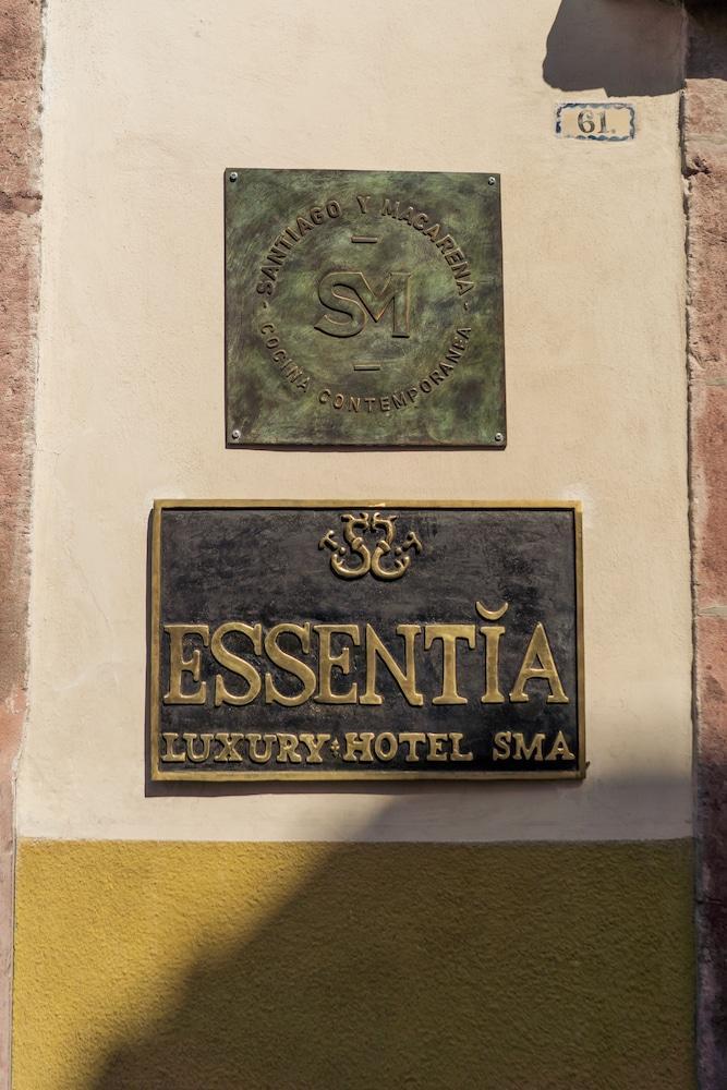 The Essentia Hotel San Miguel San Miguel de Allende Bagian luar foto